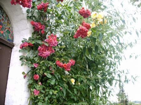 les fleurs du trottoire 2006
