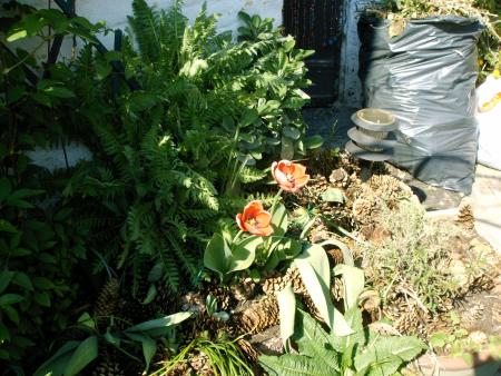 le printemps 2007