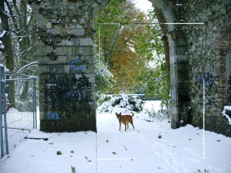 le parc