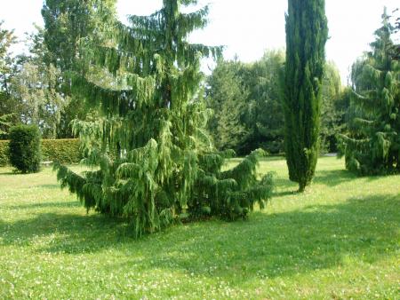 jardin du chateau